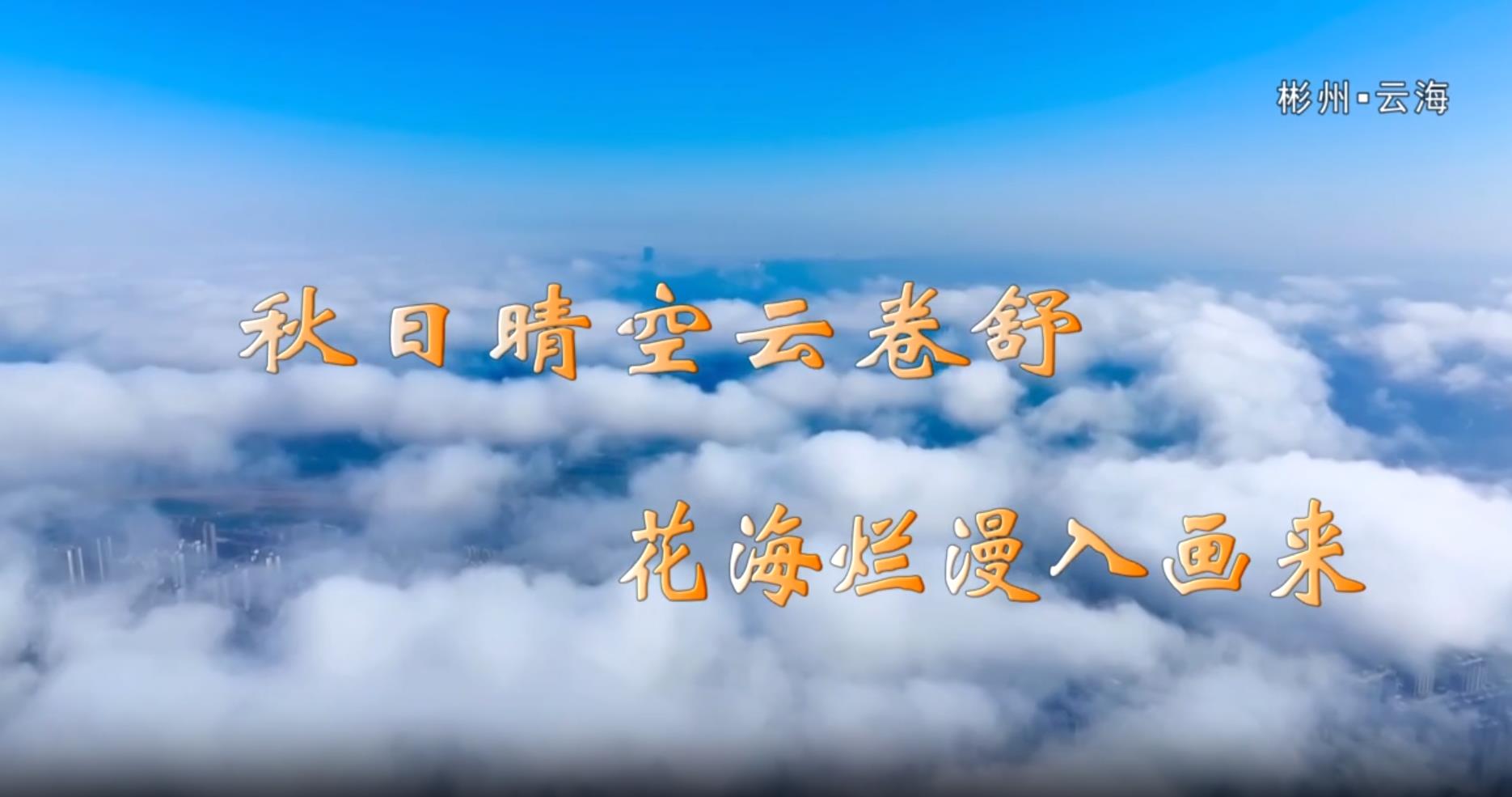 【视频新闻】秋日晴空云卷舒 花海烂漫入画来