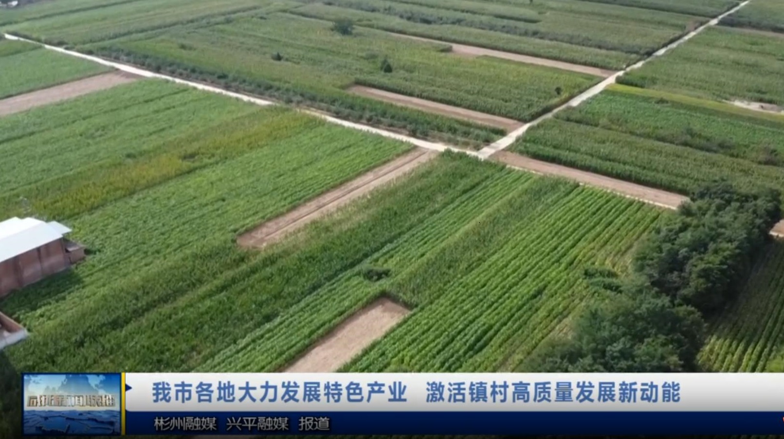 【視頻新聞】我市各地大力發(fā)展特色產(chǎn)業(yè)  激活鎮(zhèn)村高質(zhì)量發(fā)展新動能