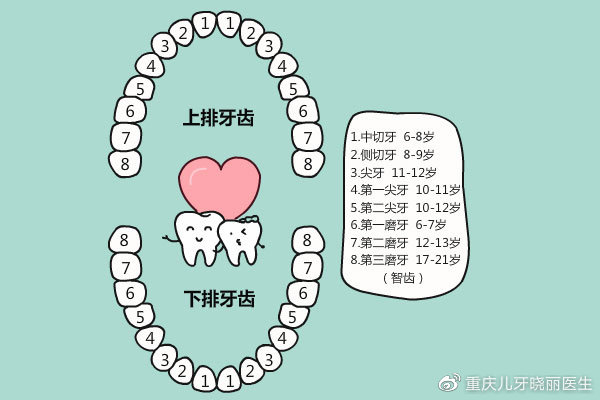 医路同行20260213