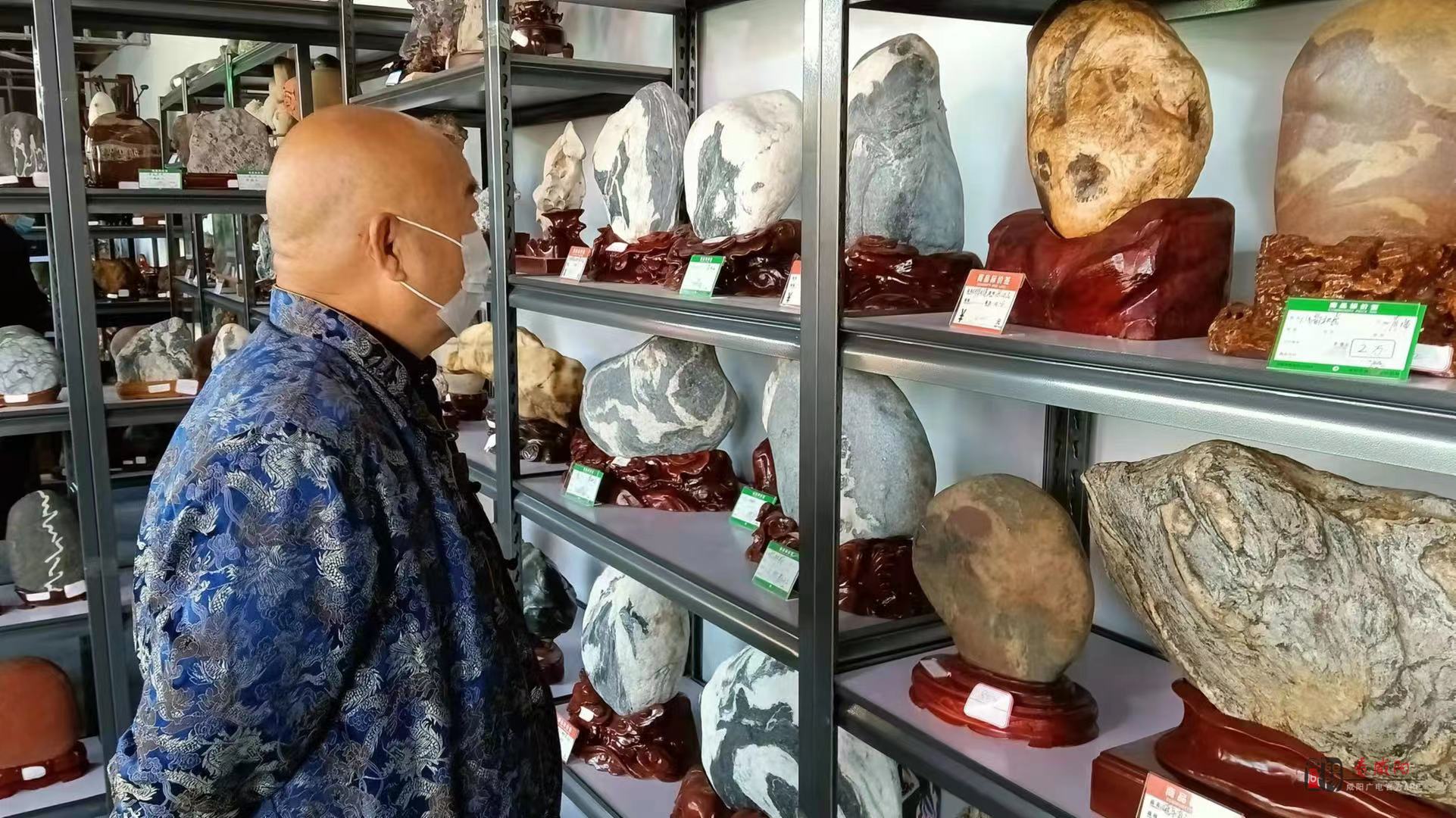 《看咸阳》讯:近日,2021金秋菊展盆景奇石展受到热捧.