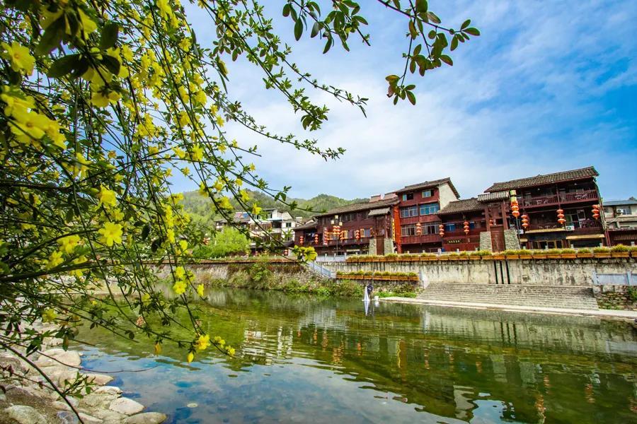 春天里的陕西汉中宁强县青木川古镇最美的春天就在这里
