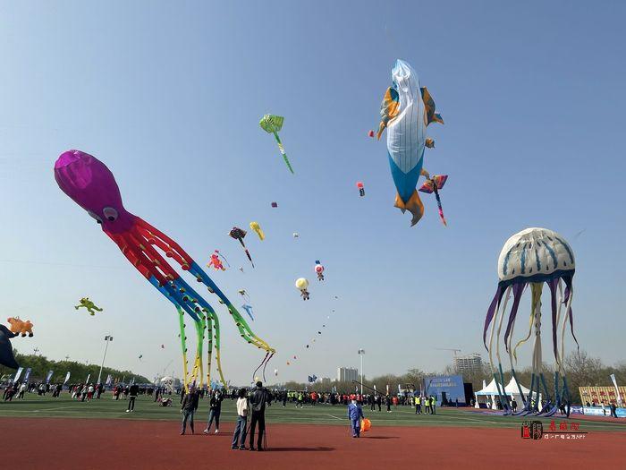 2023年高新杯第五届咸阳渭河国际风筝节开幕